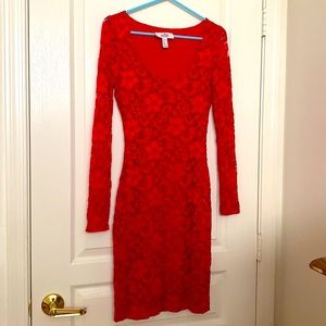 Badgley Mischka Bodycon Lace Dress